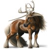 Irský tinker